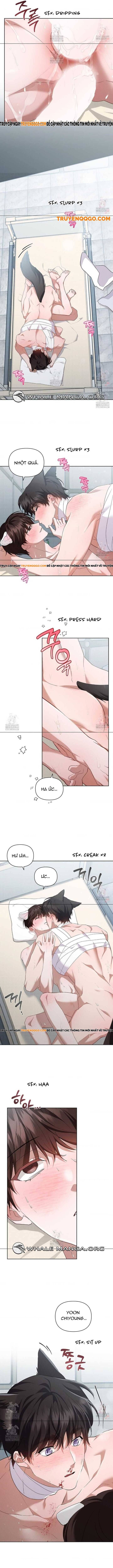Đừng Đùa Với Cún Con Chapter 42 - 9