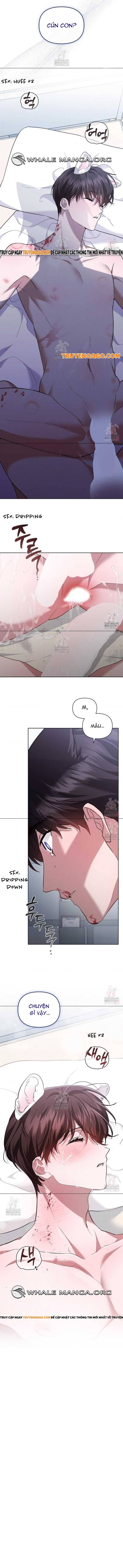 Đừng Đùa Với Cún Con Chapter 42 - 12