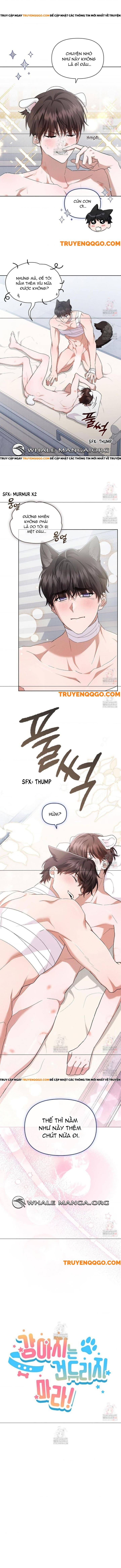 Đừng Đùa Với Cún Con Chapter 43 - 5