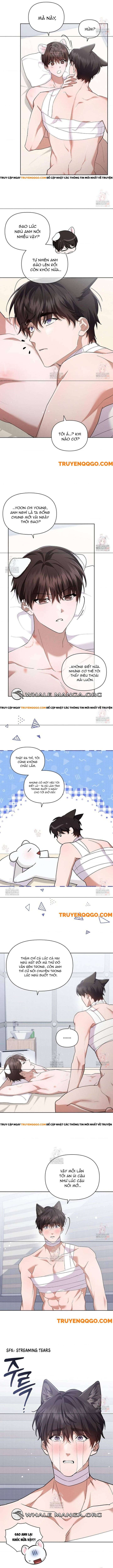 Đừng Đùa Với Cún Con Chapter 43 - 6