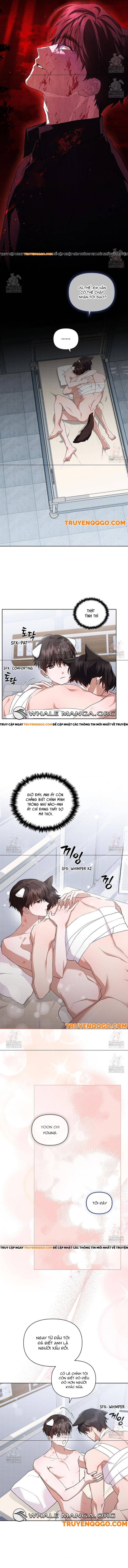 Đừng Đùa Với Cún Con Chapter 43 - 8