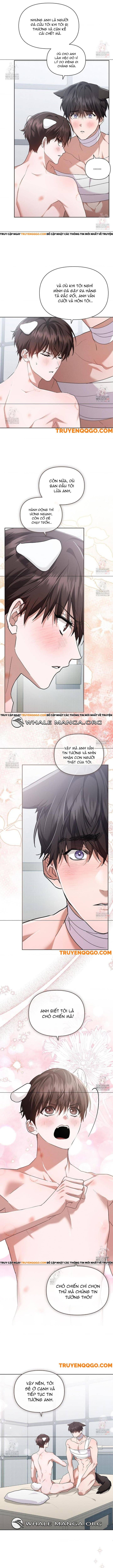 Đừng Đùa Với Cún Con Chapter 43 - 9