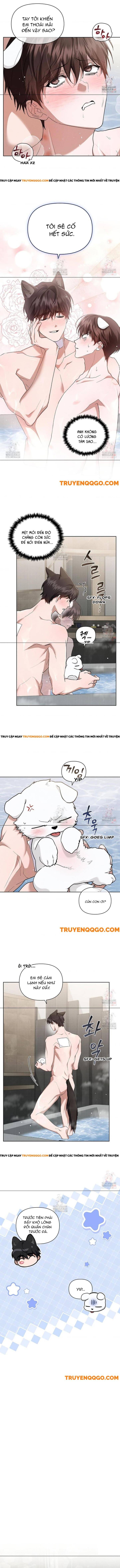 Đừng Đùa Với Cún Con Chapter 44 - 8