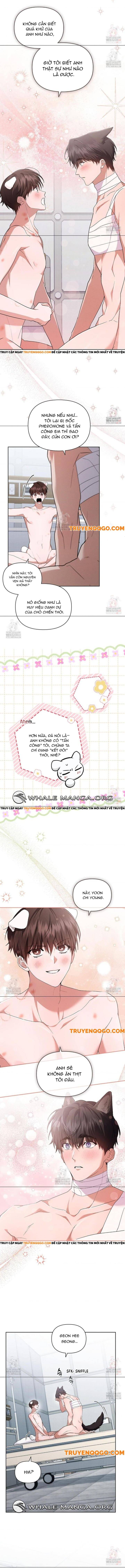 Đừng Đùa Với Cún Con Chapter 43 - 10
