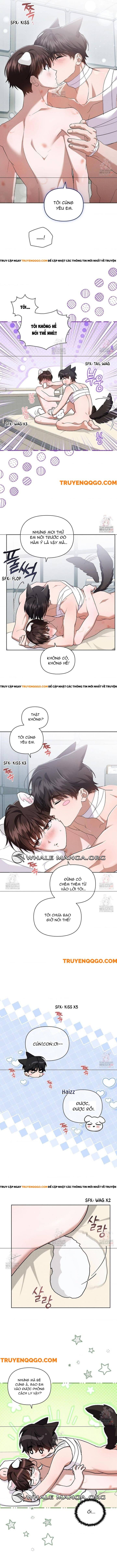 Đừng Đùa Với Cún Con Chapter 43 - 11