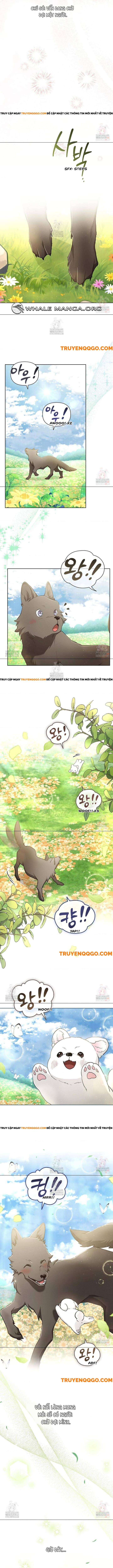 Đừng Đùa Với Cún Con Chapter 44 - 10