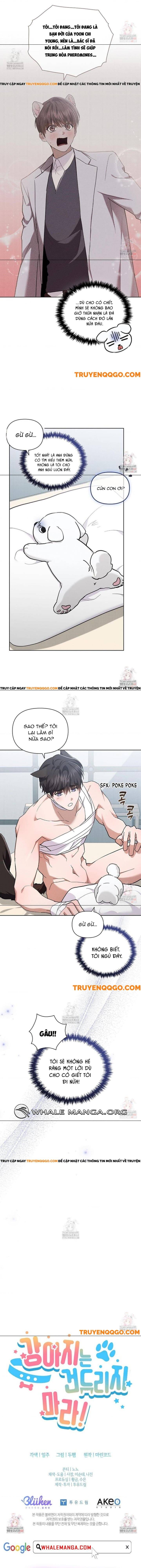Đừng Đùa Với Cún Con Chapter 43 - 12