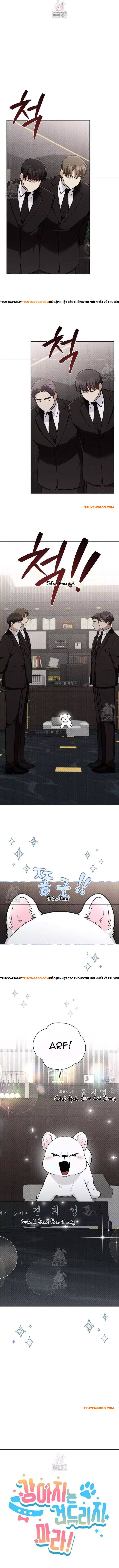 Đừng Đùa Với Cún Con Chapter 45 - 2