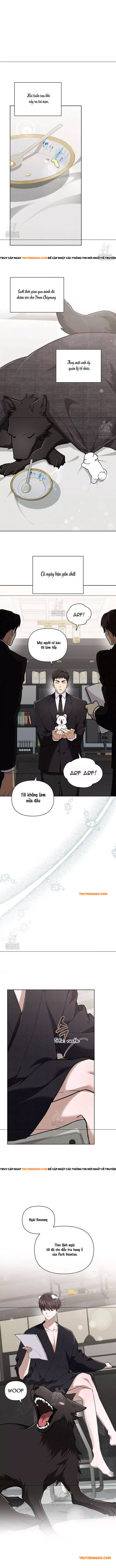 Đừng Đùa Với Cún Con Chapter 45 - 3