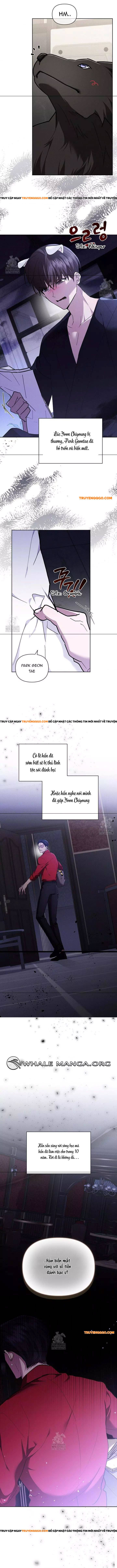 Đừng Đùa Với Cún Con Chapter 45 - 4