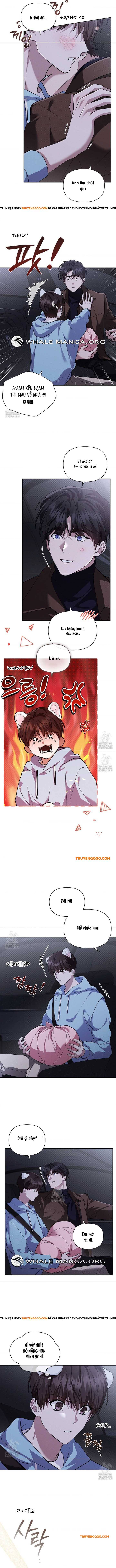 Đừng Đùa Với Cún Con Chapter 46 - 4