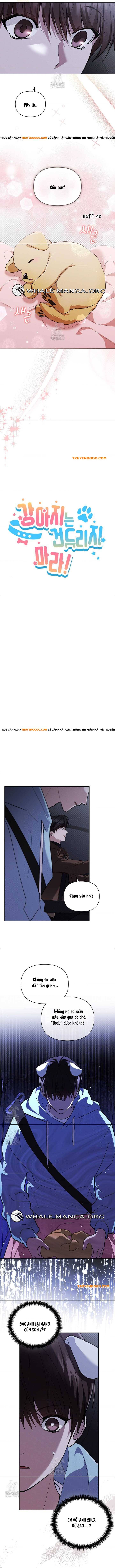 Đừng Đùa Với Cún Con Chapter 46 - 5