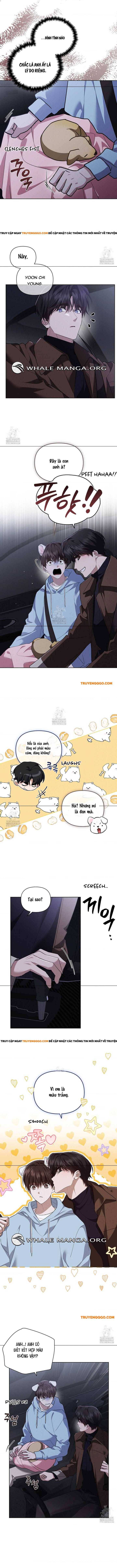 Đừng Đùa Với Cún Con Chapter 46 - 6