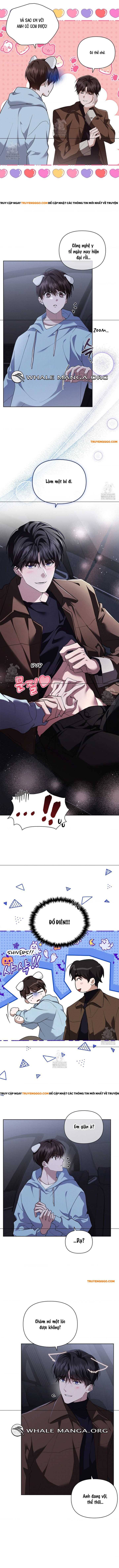 Đừng Đùa Với Cún Con Chapter 46 - 7