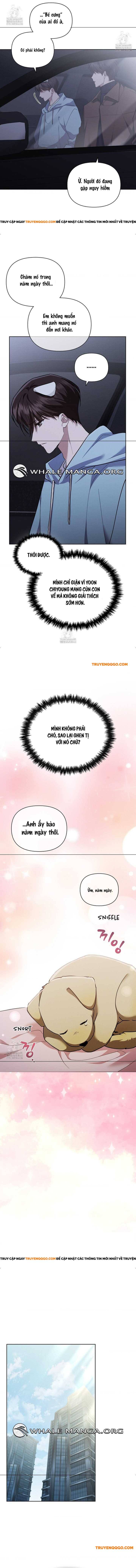 Đừng Đùa Với Cún Con Chapter 46 - 8