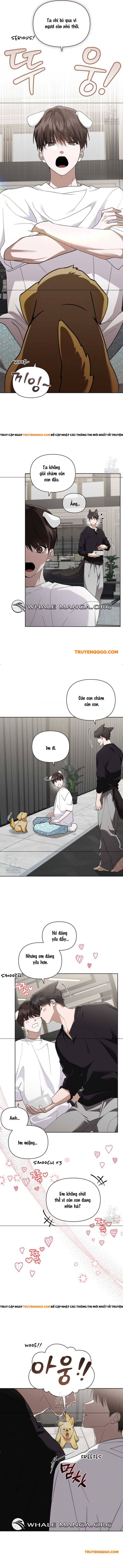Đừng Đùa Với Cún Con Chapter 46 - 9