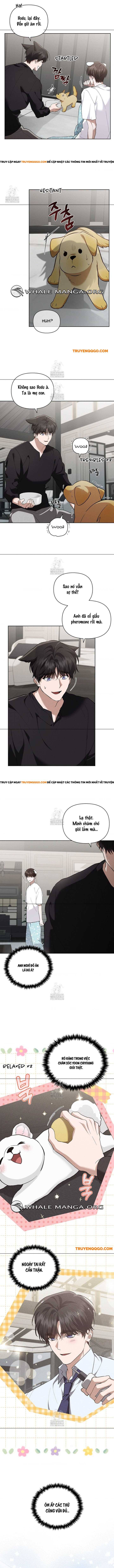 Đừng Đùa Với Cún Con Chapter 46 - 10