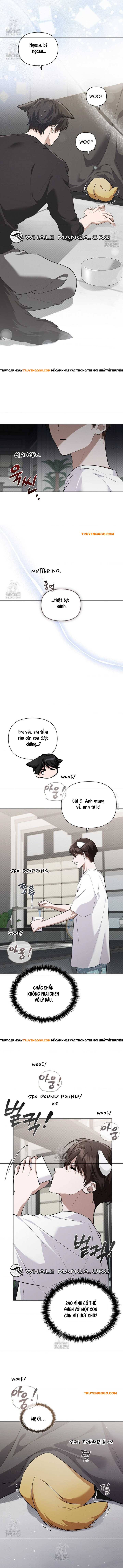 Đừng Đùa Với Cún Con Chapter 46 - 11