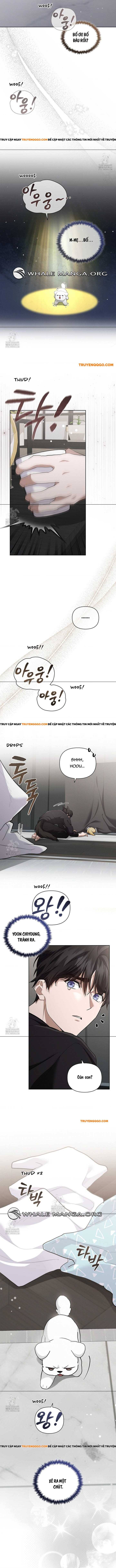 Đừng Đùa Với Cún Con Chapter 46 - 12