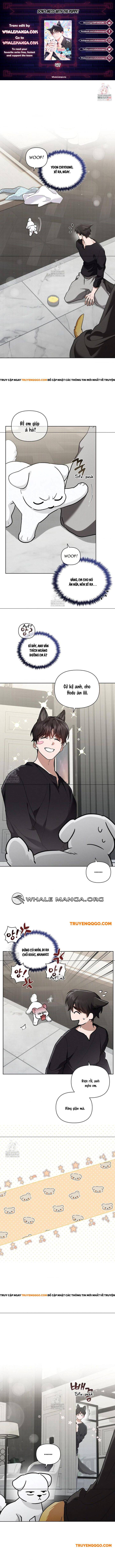 Đừng Đùa Với Cún Con Chapter 47 - 2
