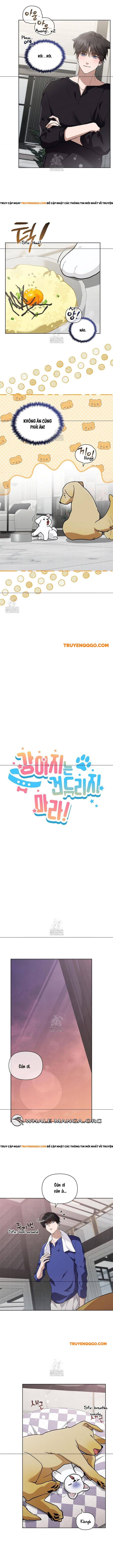 Đừng Đùa Với Cún Con Chapter 47 - 3