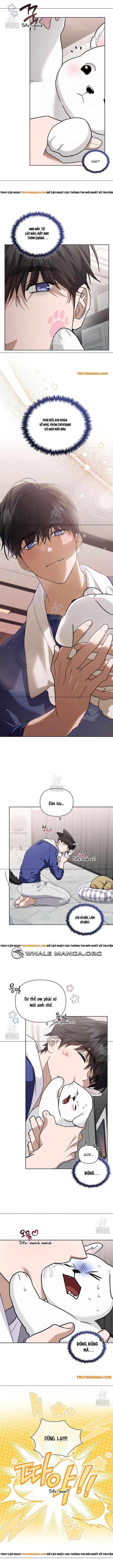 Đừng Đùa Với Cún Con Chapter 47 - 4