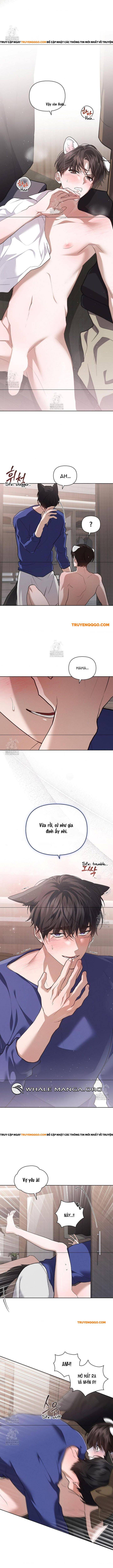 Đừng Đùa Với Cún Con Chapter 47 - 6