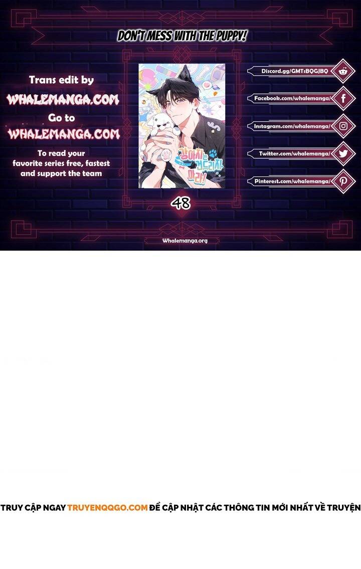 Đừng Đùa Với Cún Con Chapter 48 - 2