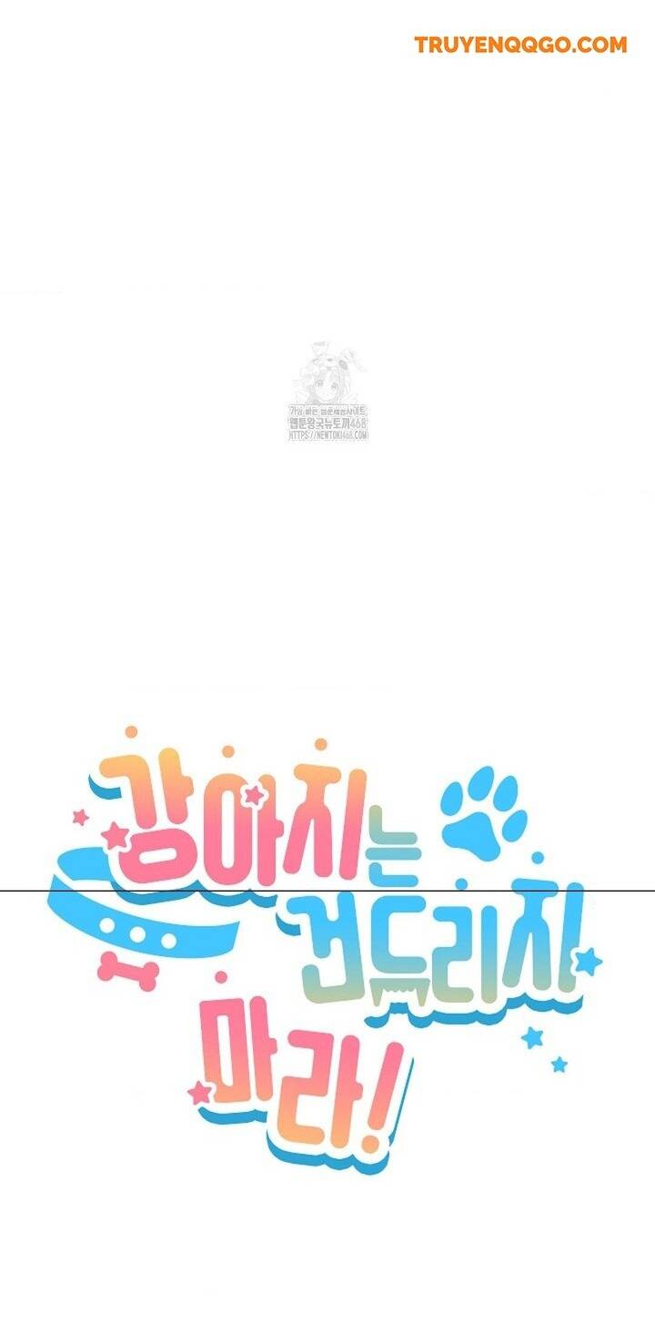 Đừng Đùa Với Cún Con Chapter 48 - 16