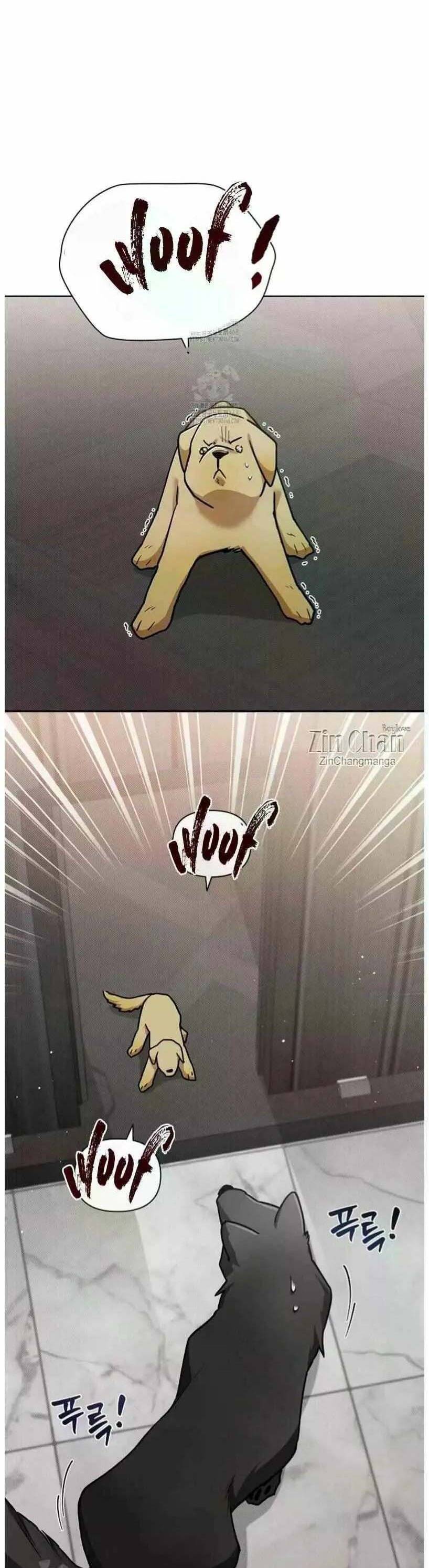 Đừng Đùa Với Cún Con Chapter 50 - 9