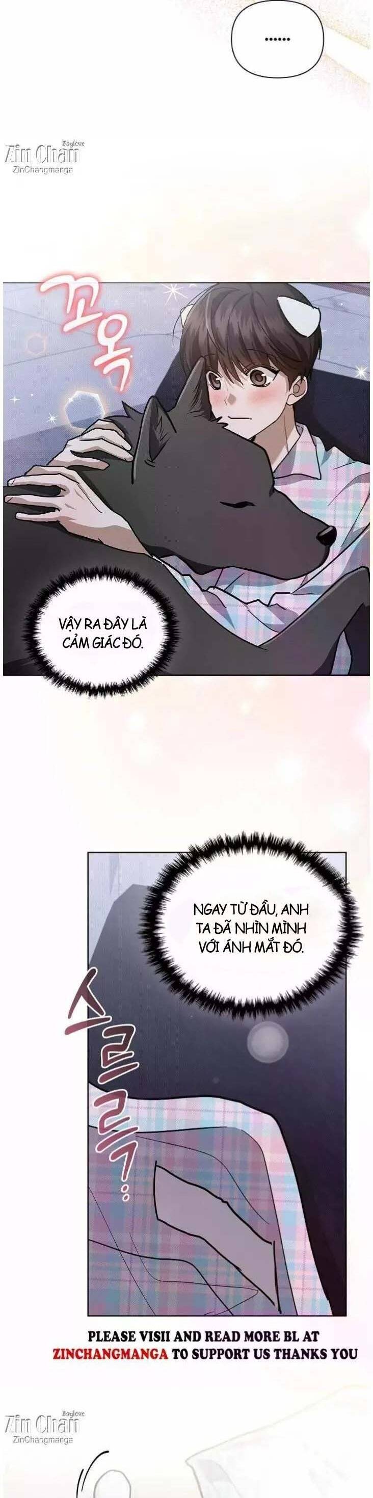 Đừng Đùa Với Cún Con Chapter 51 - 8