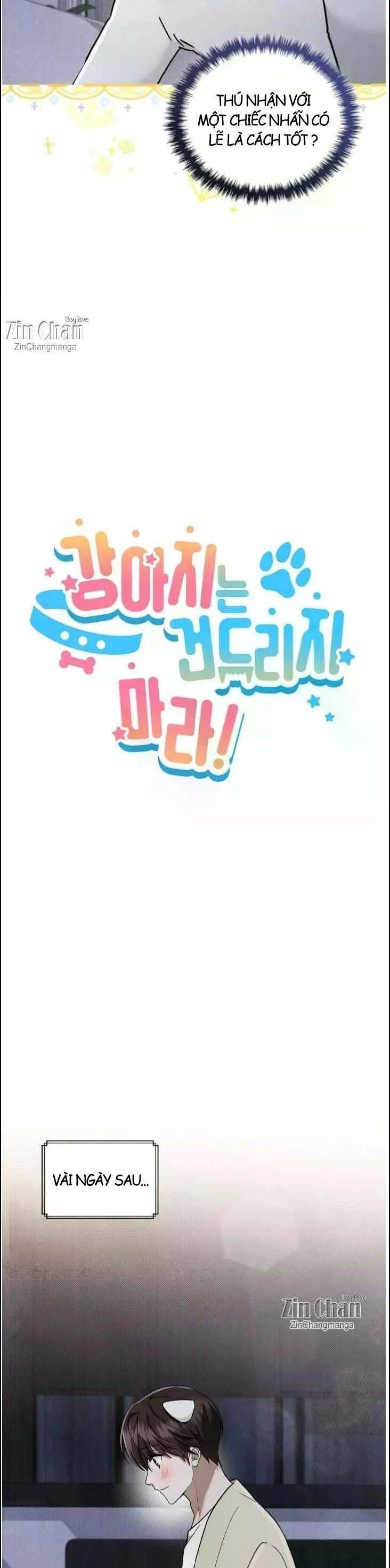 Đừng Đùa Với Cún Con Chapter 51 - 14