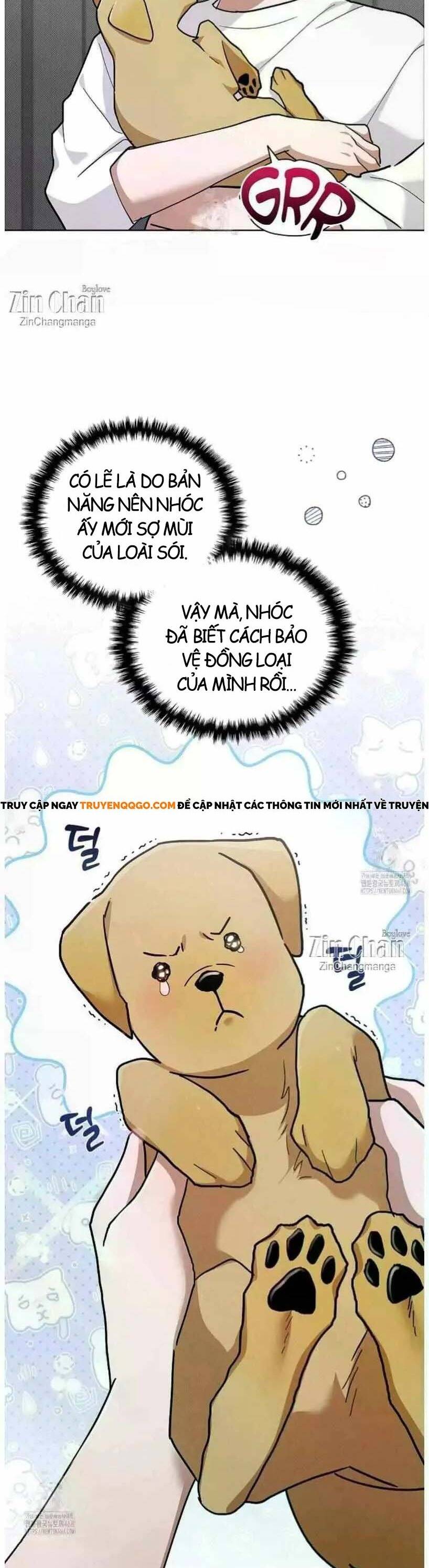 Đừng Đùa Với Cún Con Chapter 50 - 16