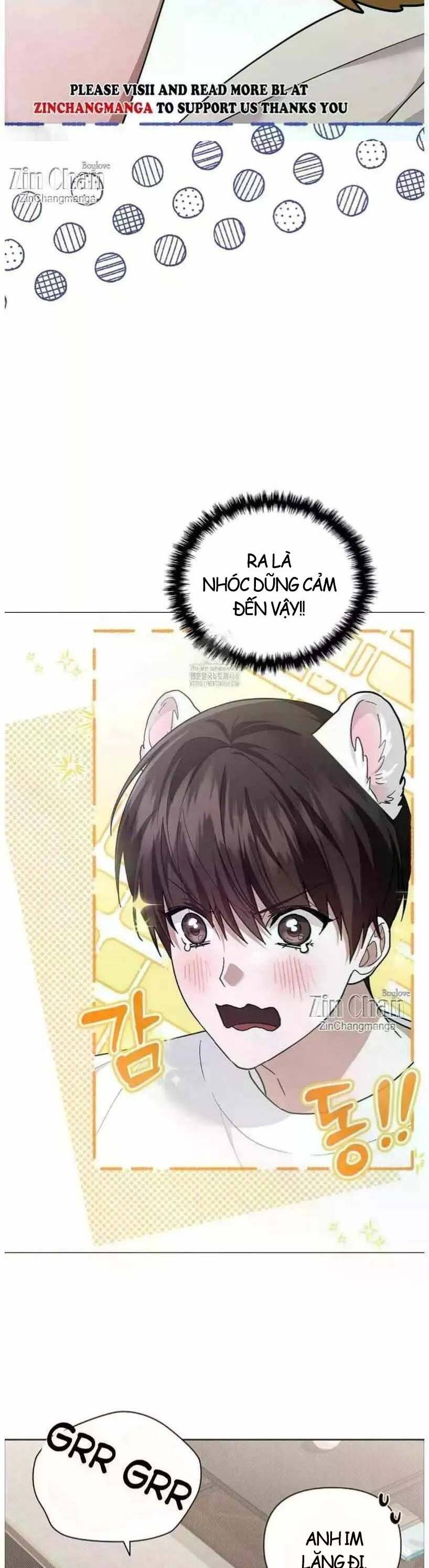 Đừng Đùa Với Cún Con Chapter 50 - 17