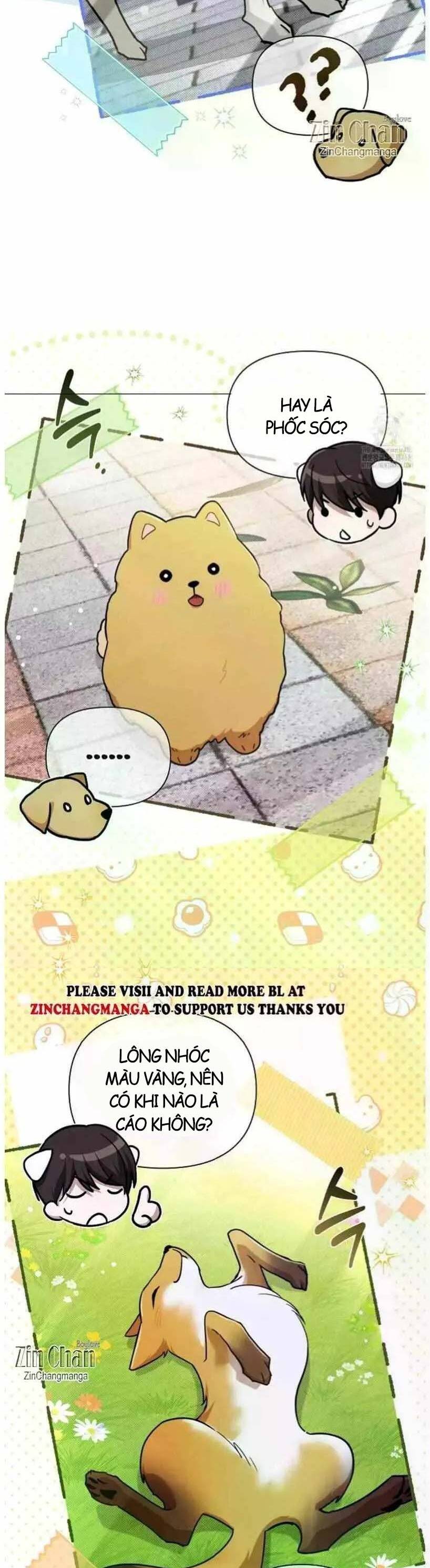 Đừng Đùa Với Cún Con Chapter 50 - 20