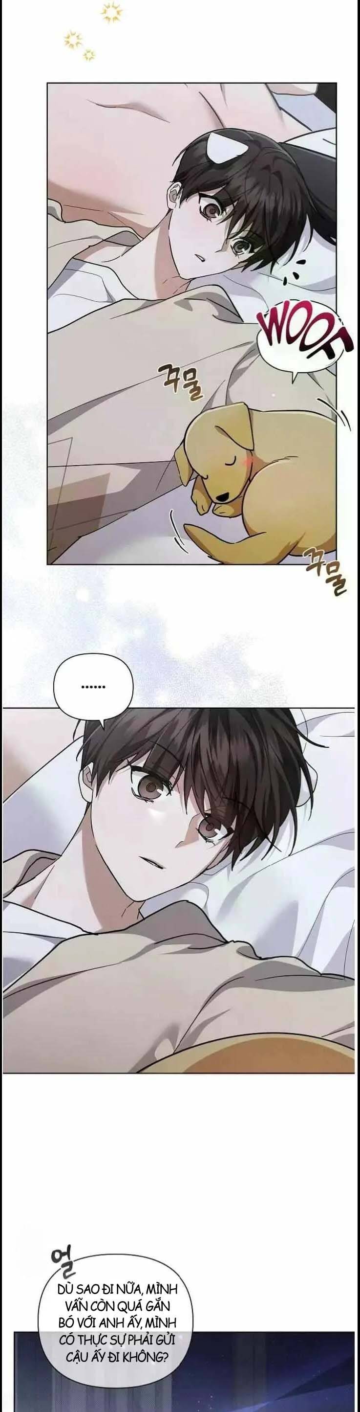 Đừng Đùa Với Cún Con Chapter 51 - 19