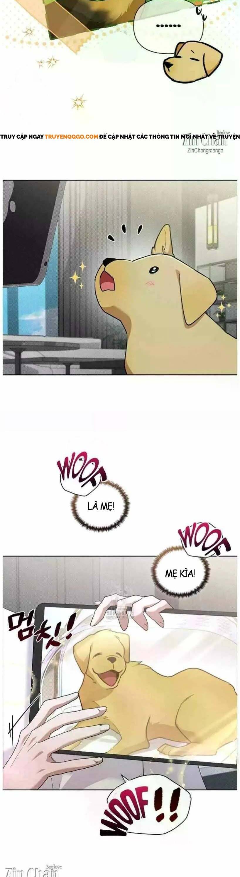 Đừng Đùa Với Cún Con Chapter 50 - 21