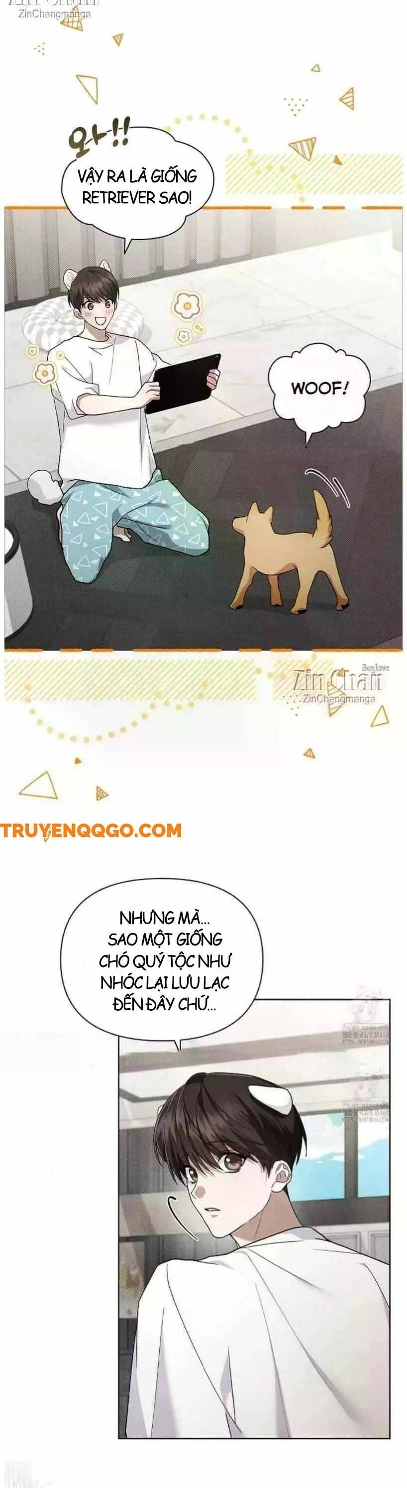 Đừng Đùa Với Cún Con Chapter 50 - 22