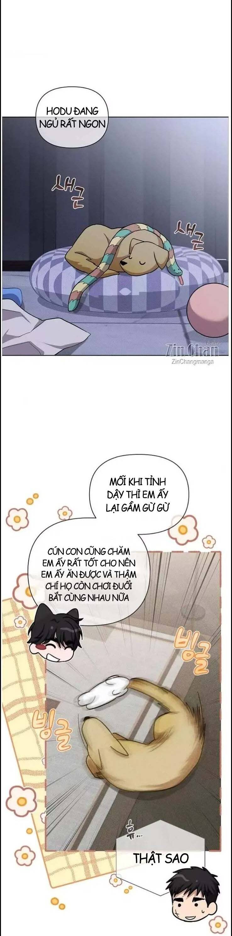 Đừng Đùa Với Cún Con Chapter 49 - 37