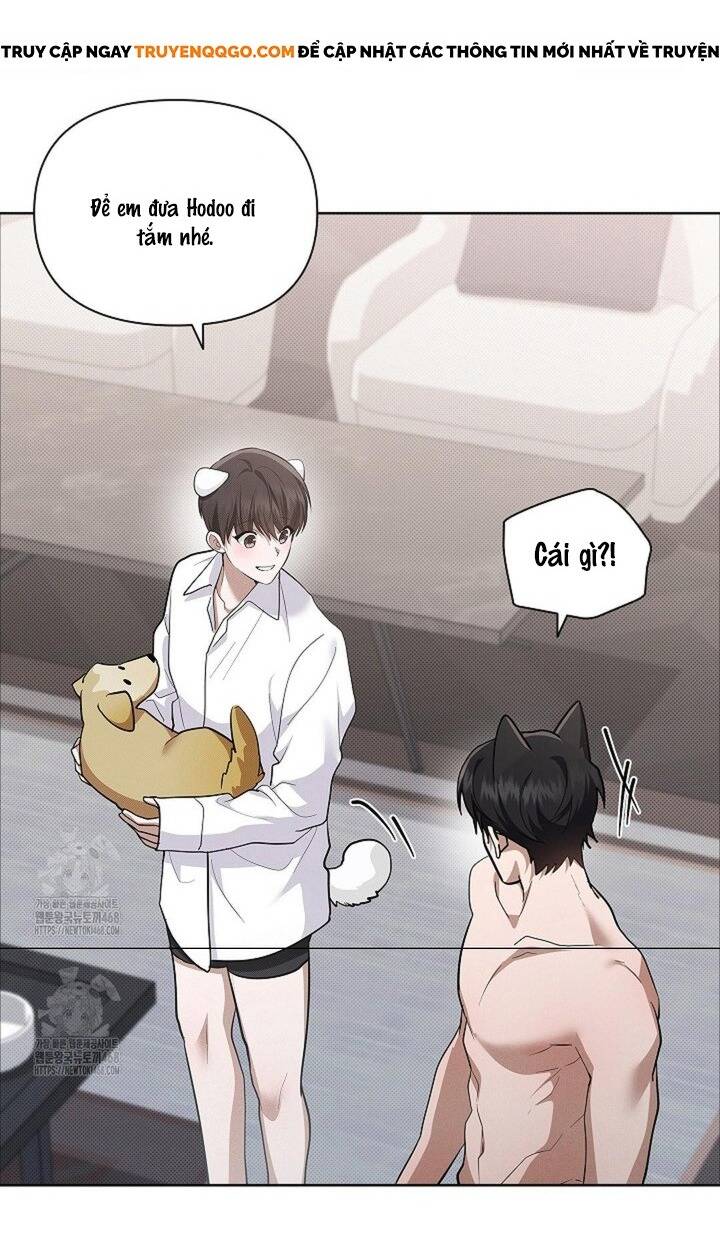 Đừng Đùa Với Cún Con Chapter 48 - 50