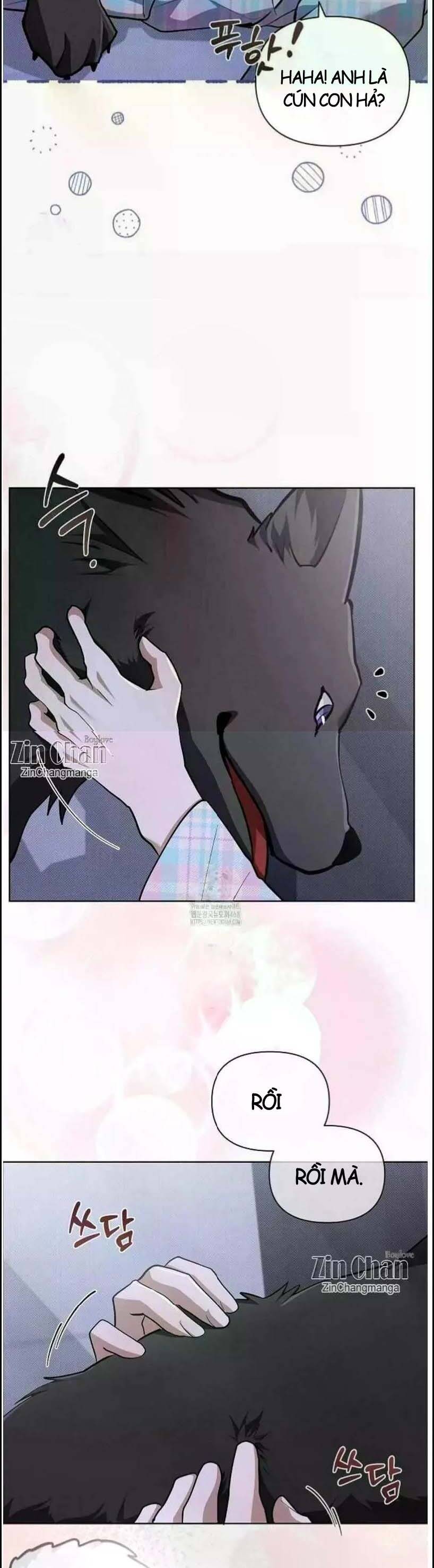Đừng Đùa Với Cún Con Chapter 50 - 41