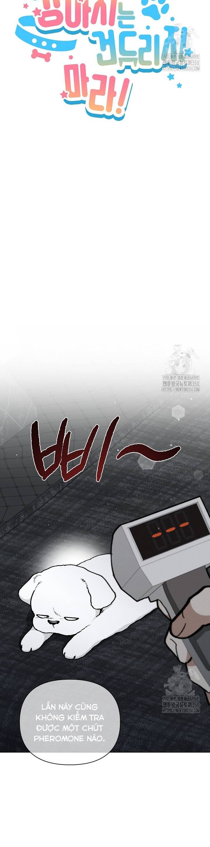 Đừng Đùa Với Cún Con Chapter 7 - 7