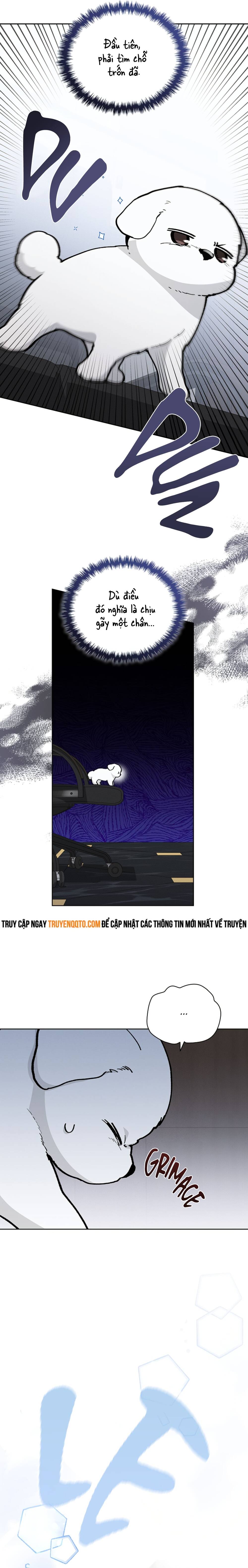Đừng Đùa Với Cún Con Chapter 9 - 15