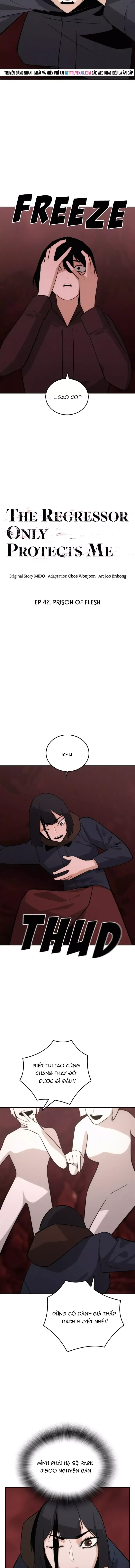 Hồi Quy Giả Chỉ Bảo Vệ Tôi Chapter 42 - 8