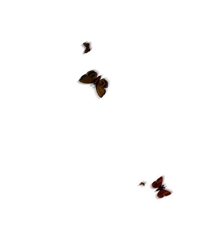 Kẻ Săn Đêm Chapter 1 - 32