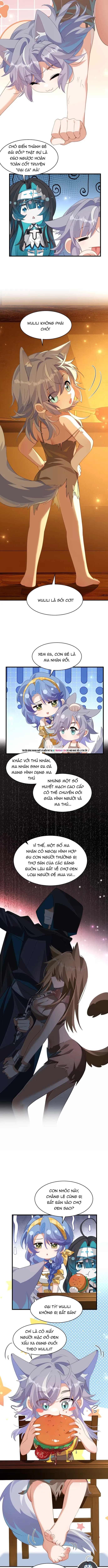 Xuyên Không Mãn Cấp Như Tôi Tại Sao Lại Là Quý Cô Mục Sư Chứ Chapter 55 - 5