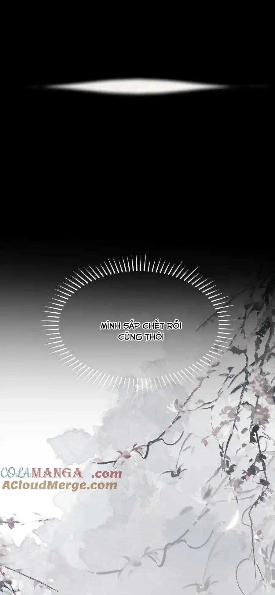 Loạn Thế Vi Vương Chapter 114 - 7