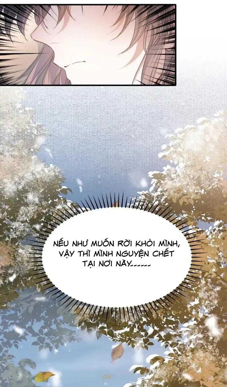 Loạn Thế Vi Vương Chapter 117 - 12