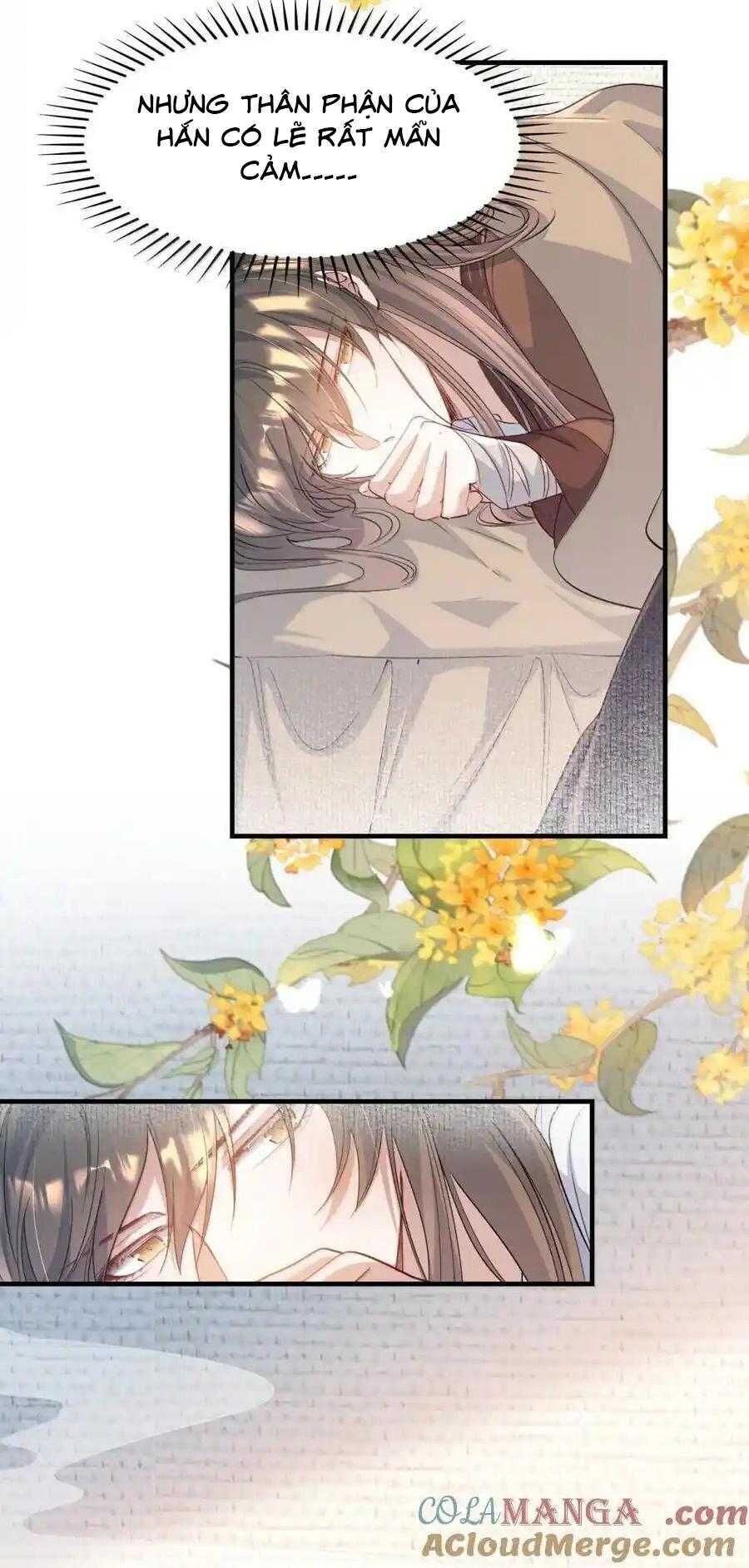 Loạn Thế Vi Vương Chapter 117 - 9