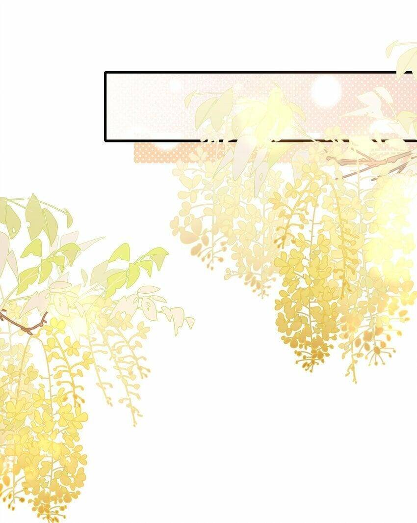 Loạn Thế Vi Vương Chapter 47 - 19